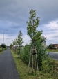 Urz�d Miejski w Wolsztynie