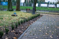 Urz�d Miejski w Wolsztynie