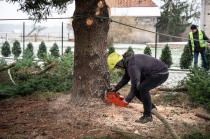 Urz�d Miejski w Wolsztynie