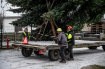 Urz�d Miejski w Wolsztynie