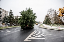 Urz�d Miejski w Wolsztynie