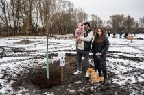 Urz�d Miejski w Wolsztynie