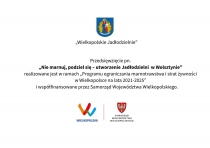 Urz�d Miejski w Wolsztynie