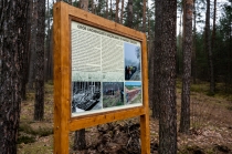 Urz�d Miejski w Wolsztynie