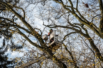 Urz�d Miejski w Wolsztynie