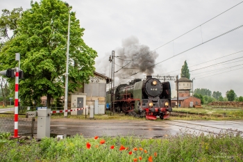 Urzd Miejski w Wolsztynie