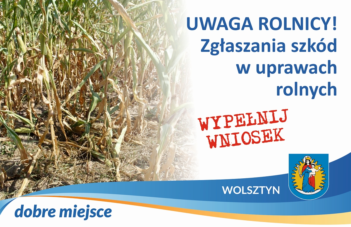 Urzd Miejski w Wolsztynie